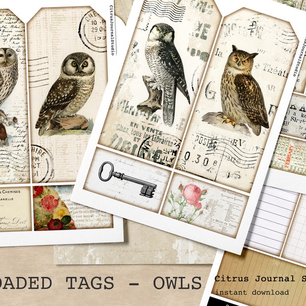 Loaded Tags, Junk Journal Kit, Collage Sheet, Journal Tags, Vintage Ephemera, Embellishment, Owl Tags, Antique, Decorative Sheet Digital Kit