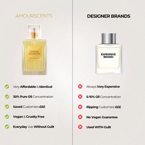 One 1 Million Inspired Alternative Perfume, Extrait De Parfum, Fragrances For Men image 5