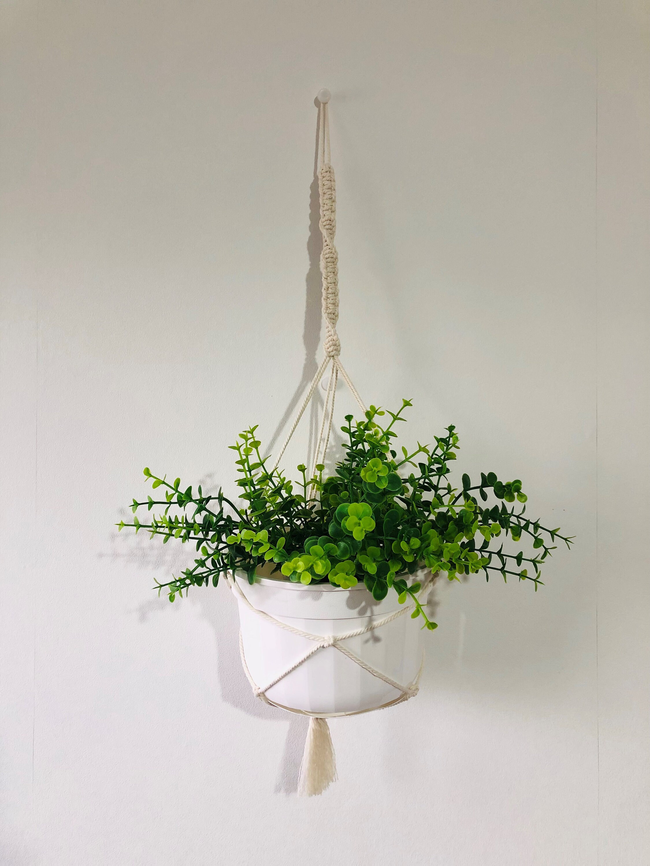 Suspension Plantes Macramé Couleur Écru avec Pot Réservoir