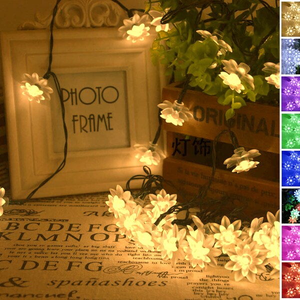 Indoor String Light Etsy