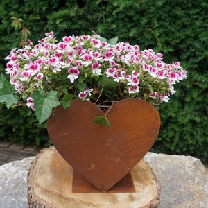Può includere: Una fioriera a forma di cuore in metallo arrugginito piena di fiori vibranti. I fiori hanno petali bianchi con bordi rosa. L'edera verde aggiunge un tocco di verde. La fioriera è posizionata su una base di legno, con una siepe verde sullo sfondo.