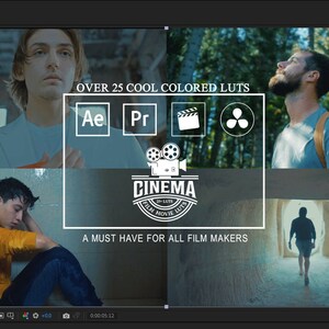 25 Cool Hollywood Movie LUTs Color Grading | Video and Photo | Mobile & Desktop | After Effects | Premiere Pro | Da Vinci | Final Cut Pro