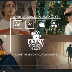 25 Warm Hollywood Movie LUTs Color Grading | Video and Photo | Mobile & Desktop | After Effects | Premiere Pro | Da Vinci | Final Cut Pro