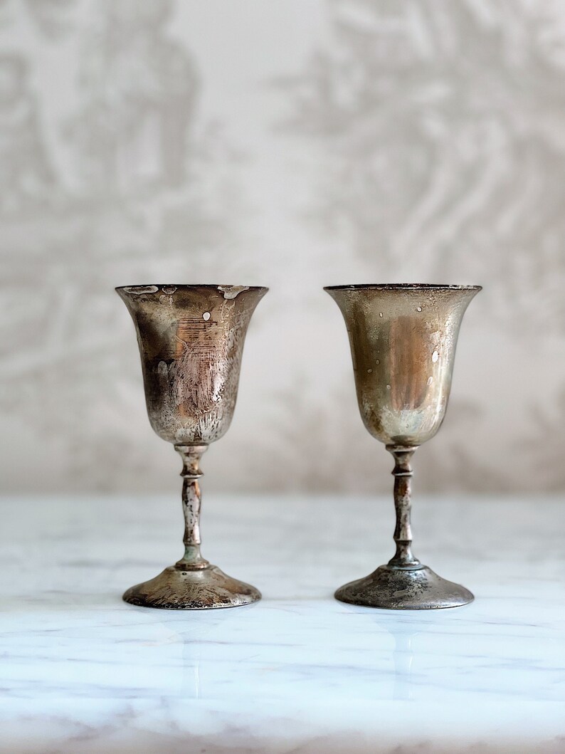 Silver Cordial Cup Pair of Vintage EPNS Made in India Cordial Etsy