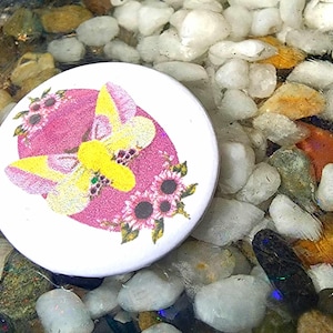 25mm Moth Buttons