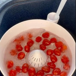 Automatic Vegetable and Fruit Washer
