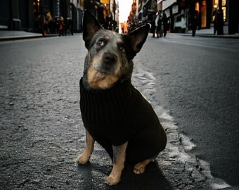 Handmade Crochet Dog Sweater | Soft & Comfy | Available in Multiple Colours and Sizes