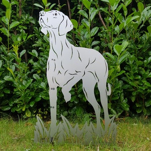 Figur Magyar Vizsla Höhe ca. 80 cm Gartenstecker Rost-Deko, Hundefigur, Jagdhund Bild 3