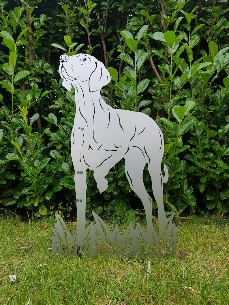 Figur Magyar Vizsla Höhe ca. 80 cm Gartenstecker Rost-Deko, Hundefigur, Jagdhund Bild 3