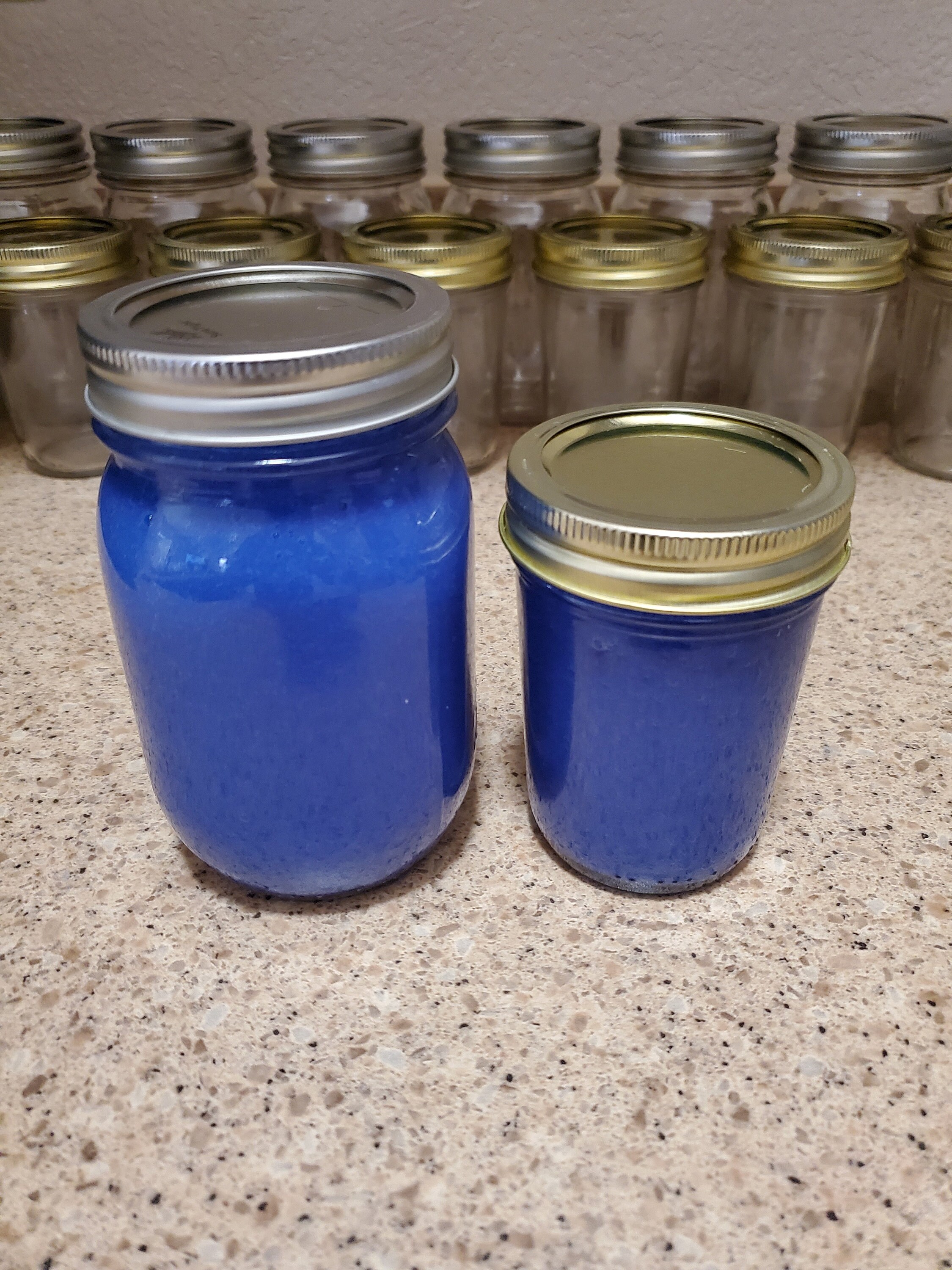 Blue Spirulina Sea Moss Gel Etsy