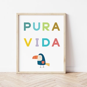 May include: A colorful framed print with the words "PURA VIDA" in a rainbow of colors. A cartoon toucan with a yellow beak and orange feet is at the bottom of the print.