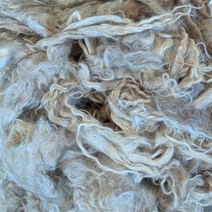 Raw Mohair - (4lbs : 1oz)