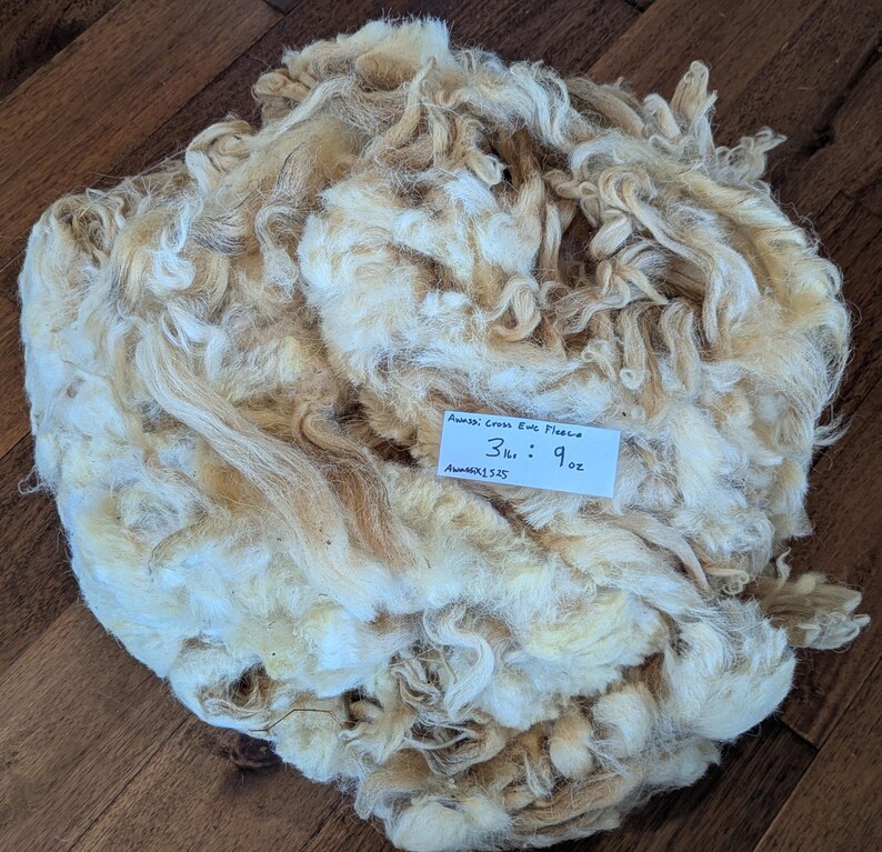 Cross Awassi Raw Wool - Awassi X Tunis Fleece (3lbs : 9oz) - Etsy