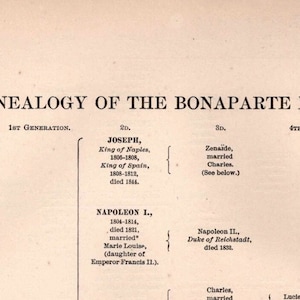 Bonaparte Family Genealogy Chart - 1901 Antique Print (Digital Download)