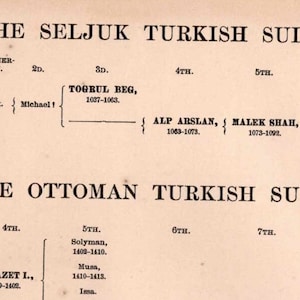 SELJUK & OTTOMAN Turkish Sultans Lineage Chart - European Great Historical Family - 1901 Digital Print - Instant Download - History Buffs