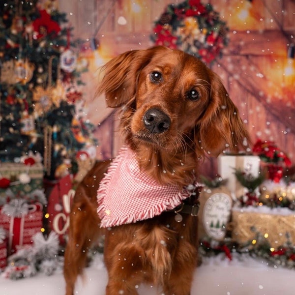 Holiday Fringe Dog Bandana  - Groovy Dog - Perfect Dog/ Dog Parent Christmas Gift - Christmas Lights - Holidays - Festive - Retro