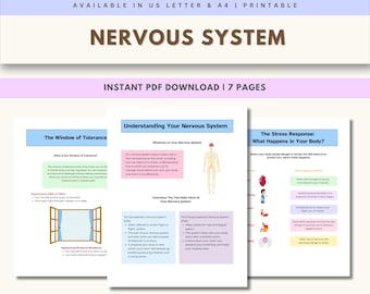 Nervous System Regulation Worksheets, Emotional Regulation Skills, Window of Tolerance, Nervous System Therapy Tools, Polyvagal Theory