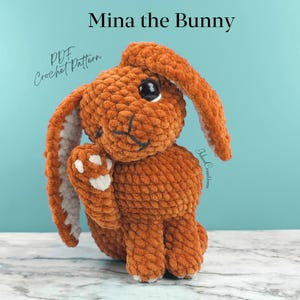 May include: A handmade, orange crochet bunny named "Mina the Bunny." The plush toy has large black eyes, long ears, and white accents on its paws and inner ears. The text "PDF Crochet Pattern" is visible in the image.