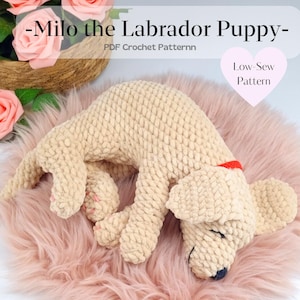 Labrador Amigurumi Pattern, Retriever Puppy, Crochet Sleeping Dog, Cute Golden Dog