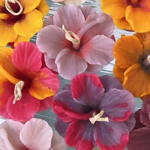 Hibiscus Floating Candles 100% beeswax and natural plant dyes