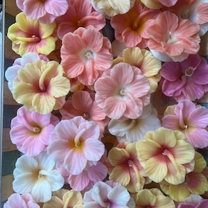 Hibiscus Floating Candles 100% beeswax and natural plant dyes