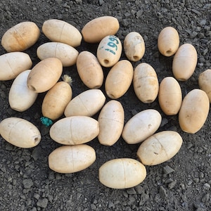 May include: A collection of weathered, oval-shaped fishing floats in varying shades of cream and tan, scattered on a dark, textured surface. Some floats have faded green numbers. These buoys are used for marking fishing nets.