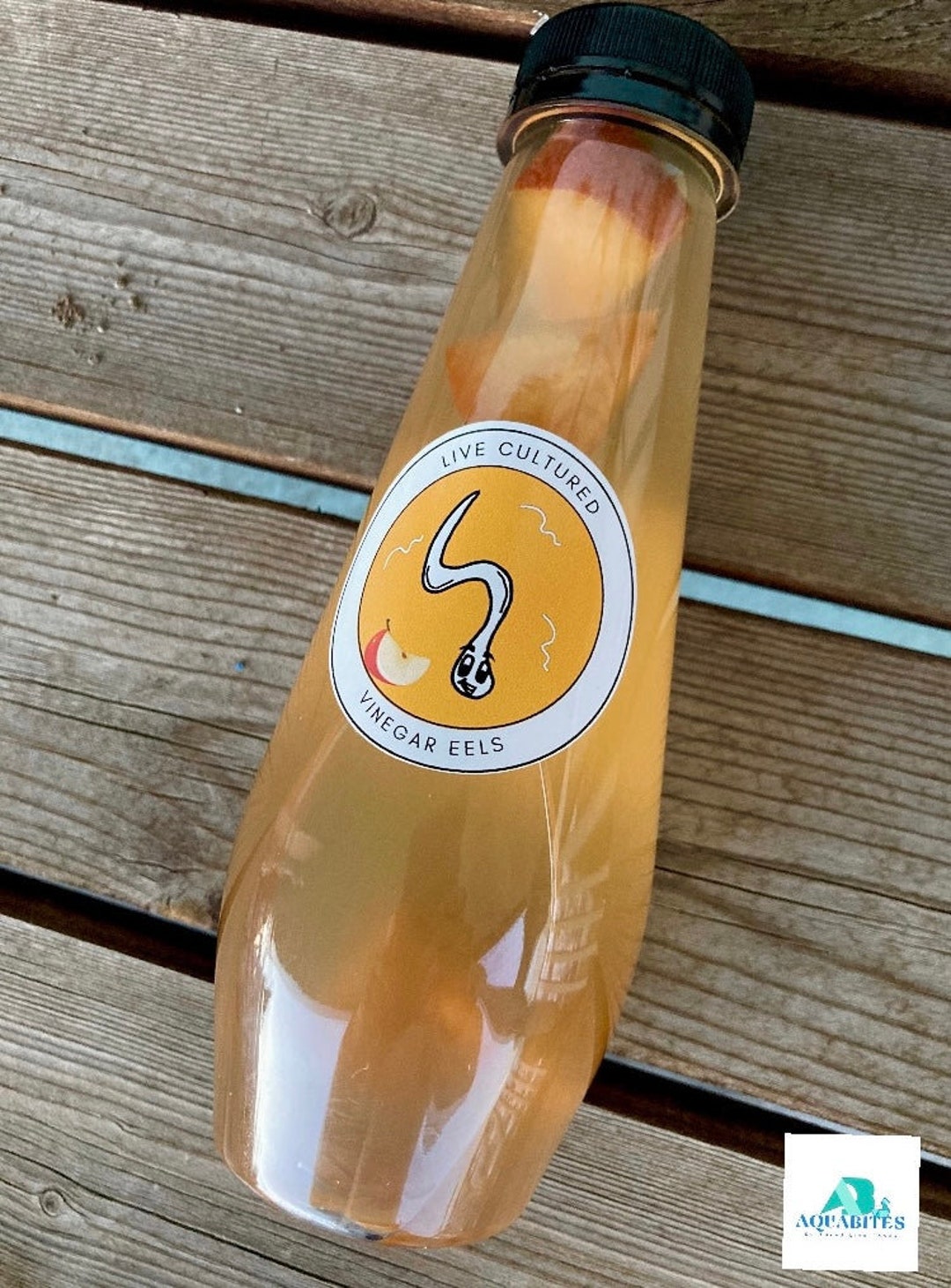 Established Vinegar Eel Culture 12 0z Etsy