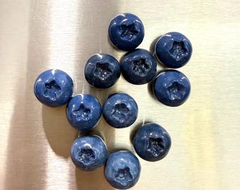 Blueberry Fridge Magnets | Handmade Clay Magnets | Kitchen Decor Gift | Fruit Magnets