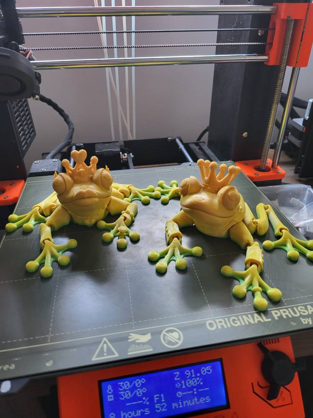 3D Printed Frog Princess and Prince From Tik Tok Fidget picture