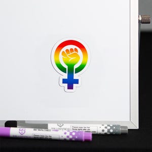 Feminist Magnet Collection, Chingona, Well Behaved Women, Rainbow Symbol Decor Feminist Symbol