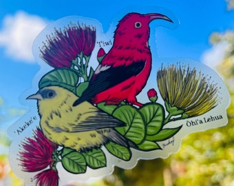 Hawaii bosvogels duidelijke sticker