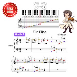 Für Elise - Grade 1 Simplified Easy Piano Sheet for Beginners, MP3, Video + Finger Numbers, For Elise, Pour Elise, Para Elise, Fur Elise