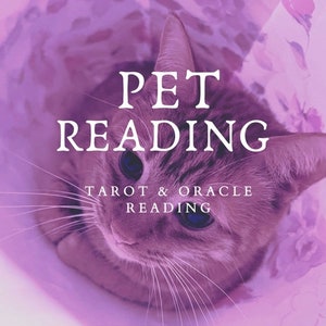 PET READING