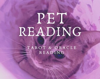 PET READING