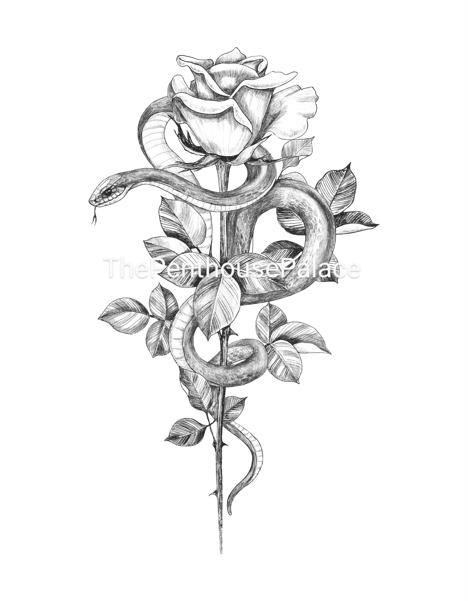 Tattoo Snake Rose Tattoo Design Tattoo Template Digital - Etsy
