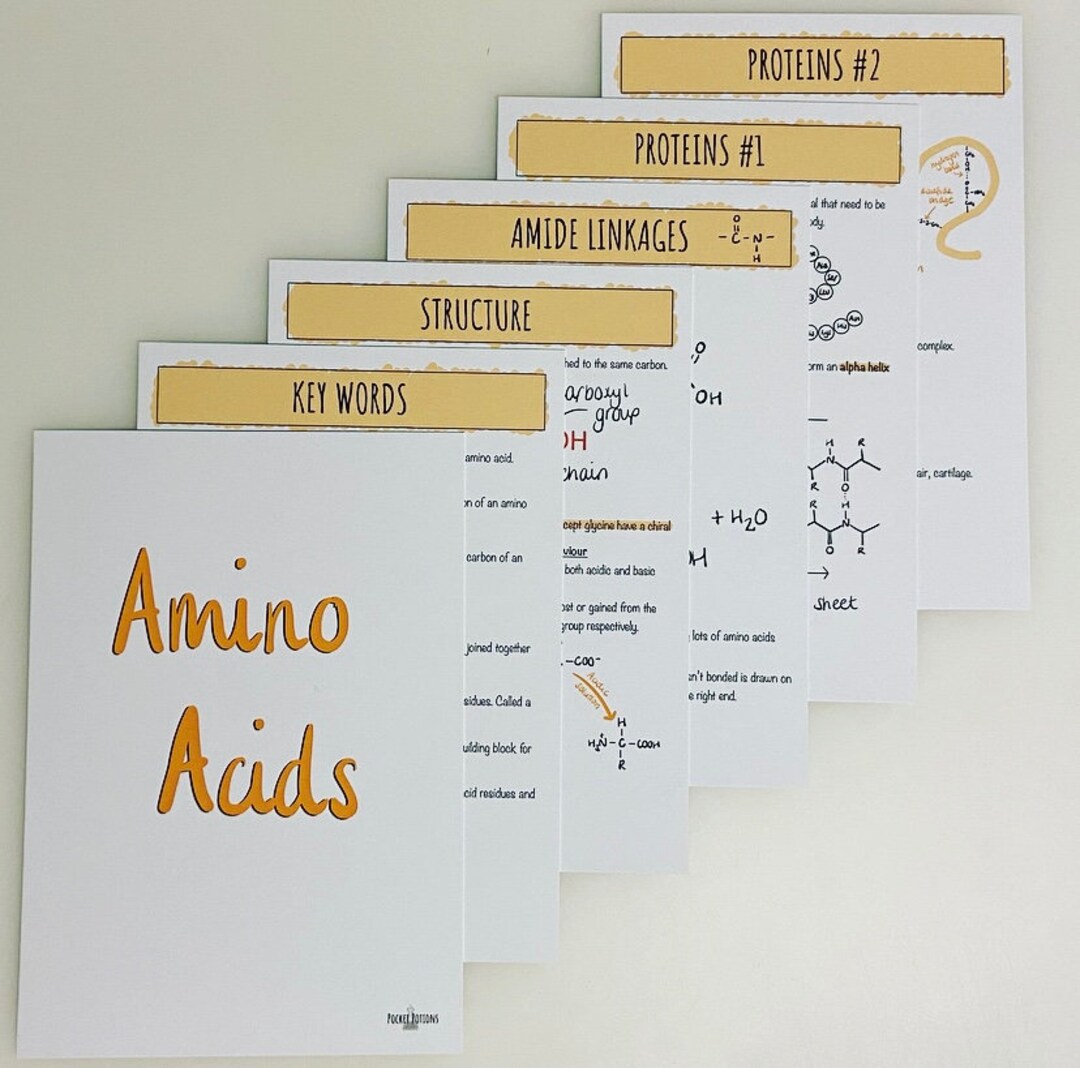 Amino Acids A Level Chemistry Biology Revision Cards DIGITAL DOWNLOAD