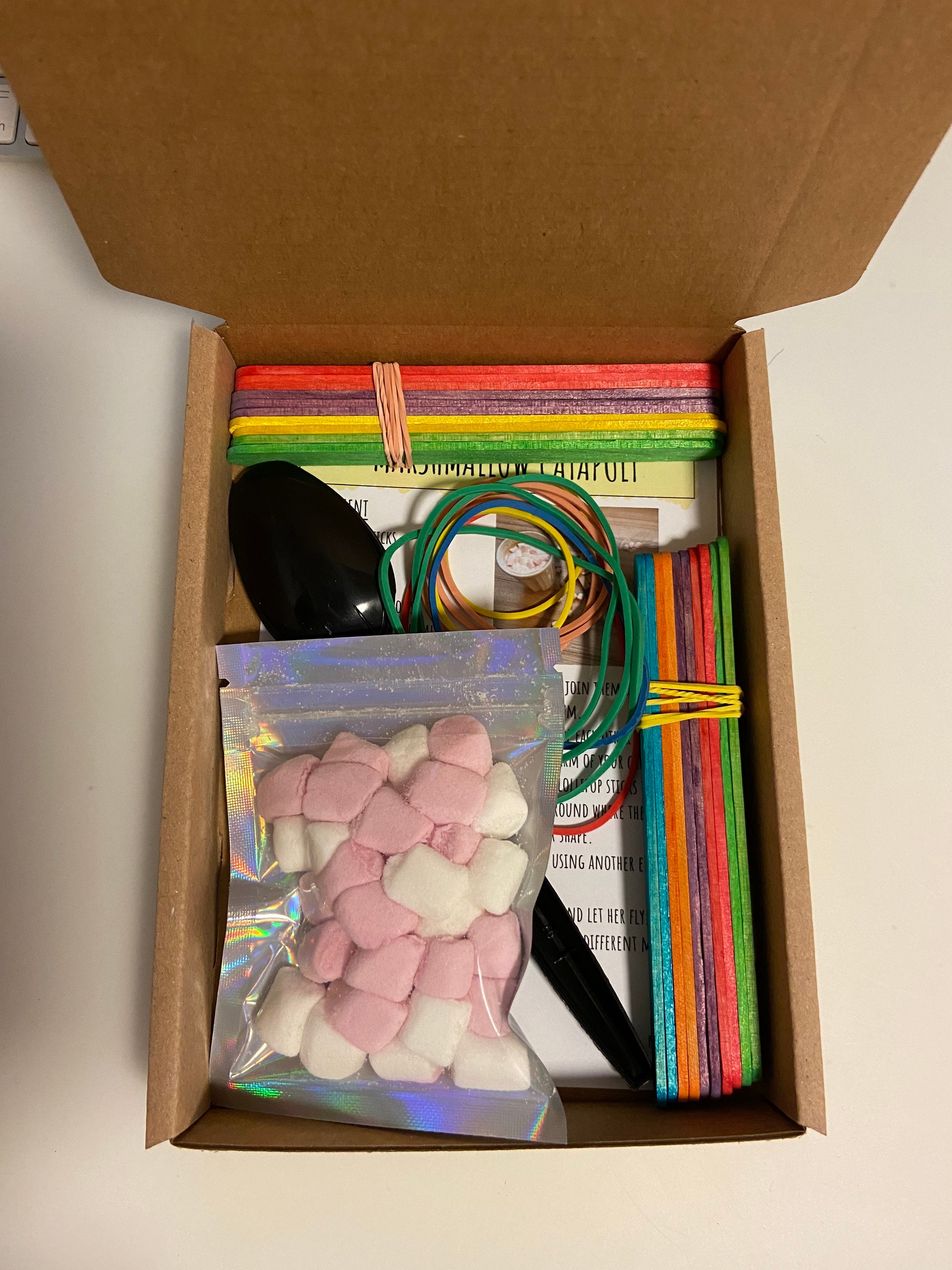 Marshmallow Catapult Science Experiment Activity | Etsy UK