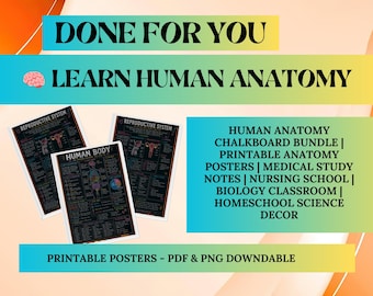 Human Anatomy Chalkboard Posters | Medical Study Notes, Nursing School, Biology Studies/Notes (Printable Download)