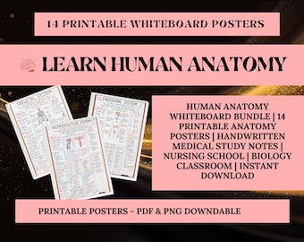 Human Anatomy Whiteboard Posters | Handwritten Medical Study Notes (Instant Download)