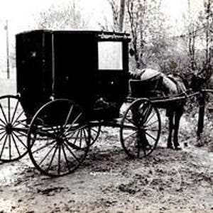 May include: A black horse-drawn carriage with spoked wheels and a rectangular body. The carriage has a small window and is parked on a dirt road. A horse is hitched to the carriage, standing near trees.