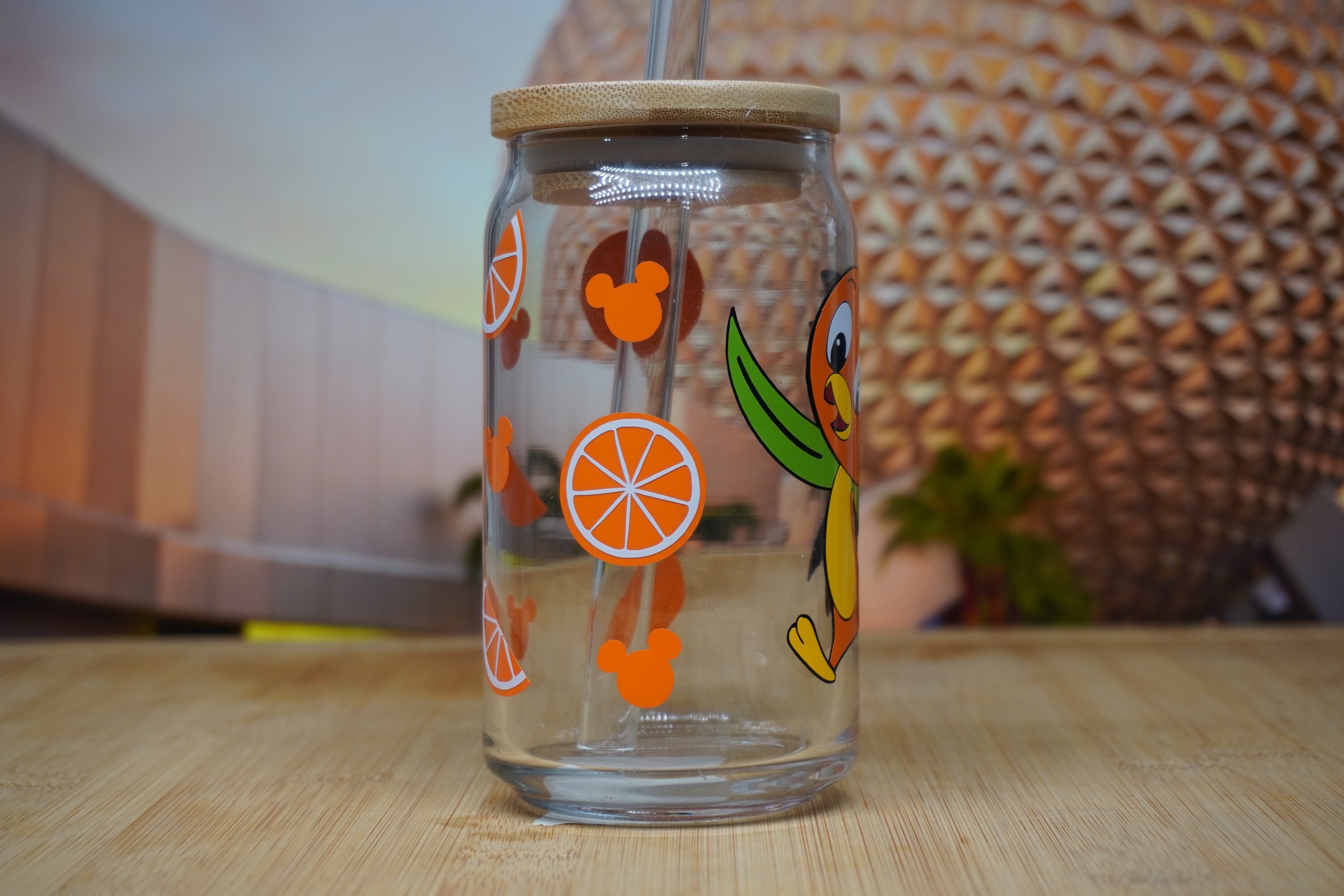 Orange Citrus Bird // Disney Inspired // Beer Glass Can Etsy