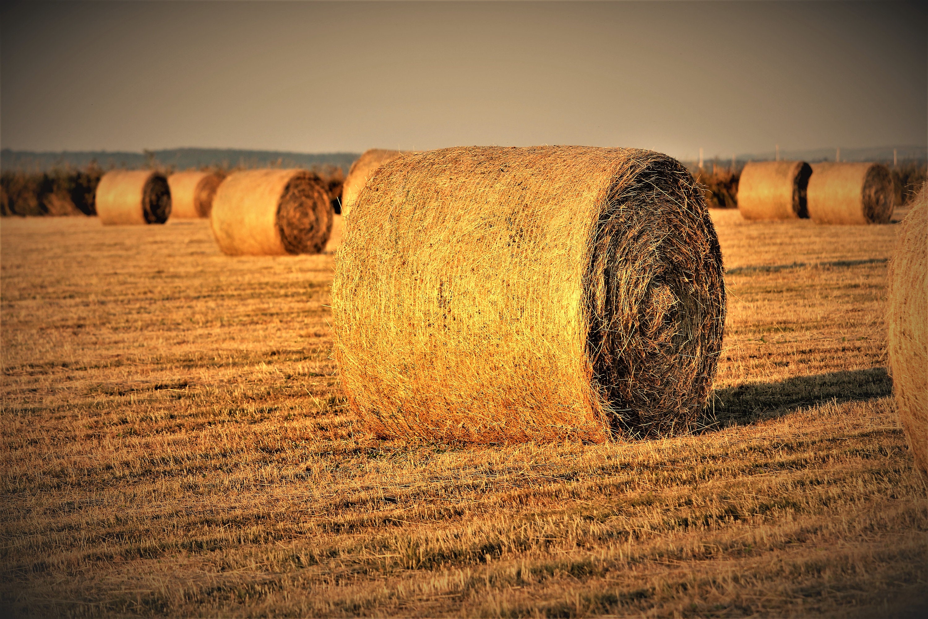 Round Hay Bale Print Etsy Ireland