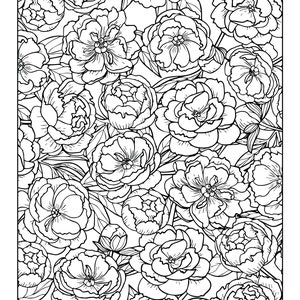 Coloring Book Pages Set Three Floral Designs 10 Different Designs Adult ...