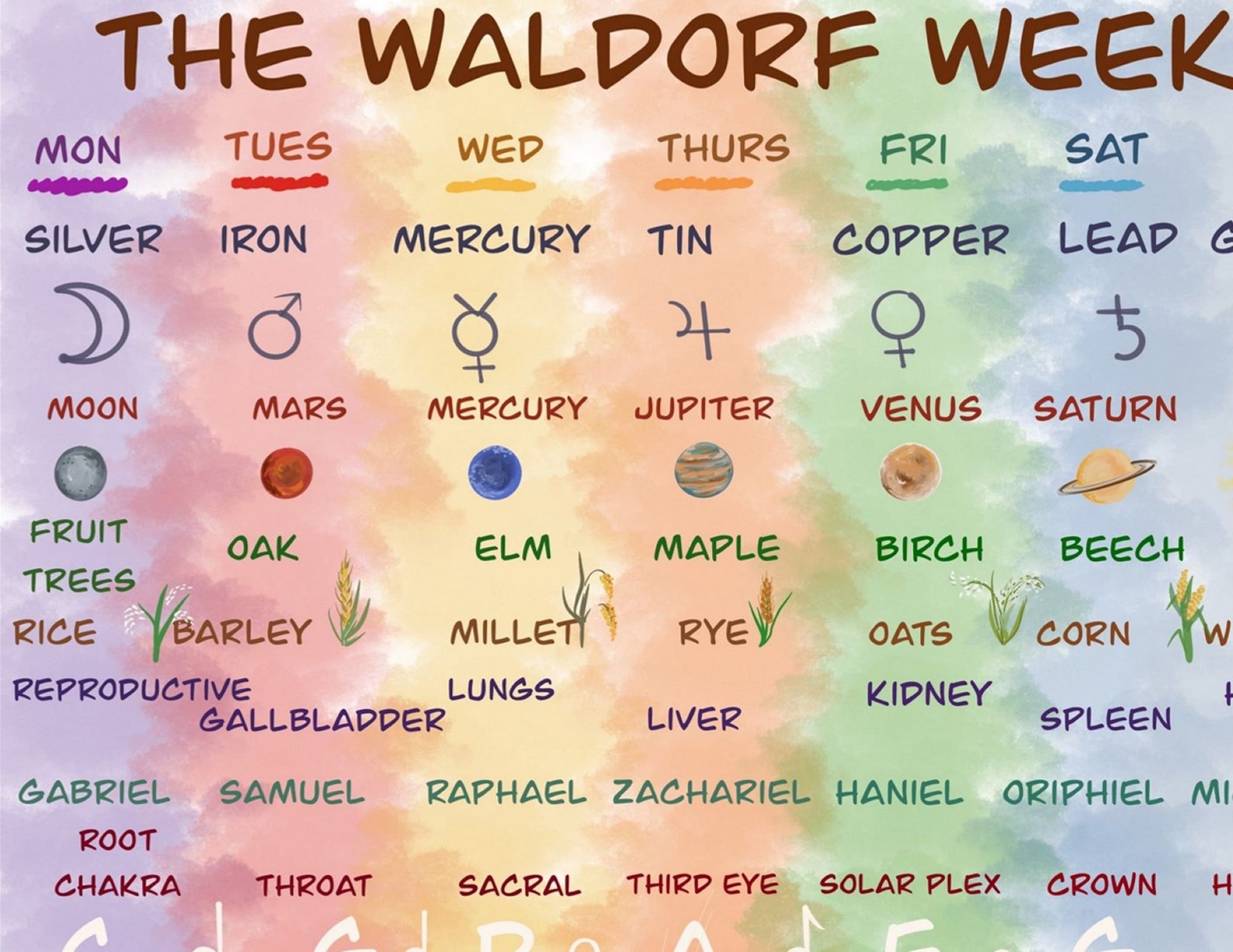 Waldorf Weekly Rhythm Schedule Steiner Homeschool - Etsy