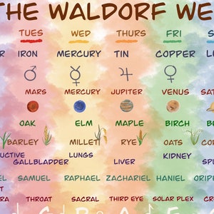 Programa de ritmo semanal Waldorf Educación en el hogar Steiner