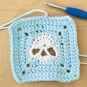 May include: A light blue crochet square with a white skull design in the center. The square is made with a single crochet stitch and has a border of double crochet stitches.