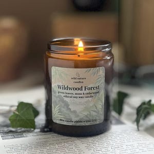 Wildwood Forest Soy Wax Candle: Cedarwood, Moss & Green Leaves, 1 tree planted
