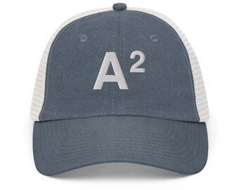 Ann Arbor Michigan A squared Faded Trucker Hat