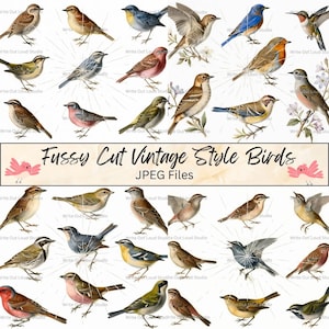 May include: A collection of vintage-style bird illustrations in various colors and poses. The image includes the text "Fussy Cut Vintage Style Birds" and "JPEG Files". The birds are depicted with detailed feathers and are suitable for crafting or design projects.