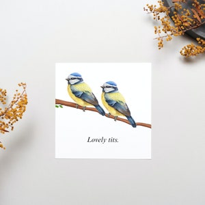 Mooie tieten grappige Valentijnsdag kaart, Ierse vogels humor kaart, verjaardag verjaardag wenskaart, kaart voor partner, vrouw vriendin